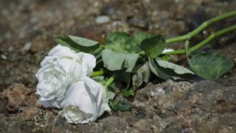 Fatal Accident005 One Killed, One Critically Injured in Head-On Crash on Rte 896 Near Old Baltimore Pike