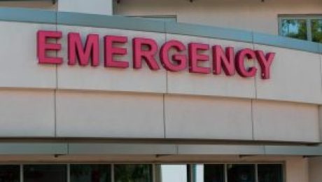 Building Collision Traps Victims on Coastal Hwy in Fenwick Island, DE